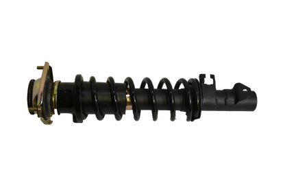 Suzuki Strut
Right Hand Side