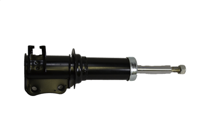 Suzuki Strut
Right Hand Side